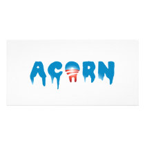 Scaring ACORN Photo Cards