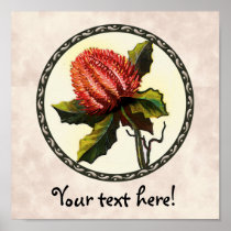 Scarlet Banksia Print