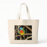 Scarlet-Chested Parakeet - Neophema splendida Canvas Bag