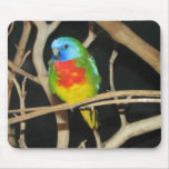 Scarlet-Chested Parakeet - Neophema splendida Mouse Mat