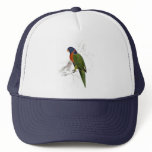 Scarlet-Collared Parrakeet by Edward Lear hats