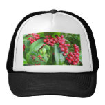 Scarlet Firethorn In Valley Gardens Park Hat