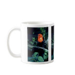 Scarlet-headed blackbird, South America mugs