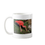 Scarlet ibis mugs