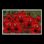 'Scarlet Lilies 1' posters