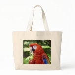 Scarlet Macaw Tote Bags