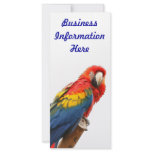Scarlet Macaw Bookmark Rack Card rack cards