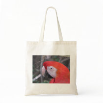 Scarlet Macaw - Close Up Bags