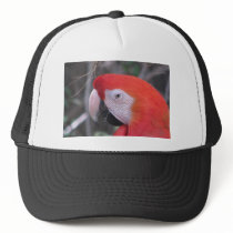Scarlet Macaw - Close Up Trucker Hats