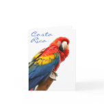 Scarlet Macaw Costa Rica Note Card