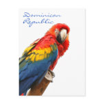 Scarlet Macaw Dominican Republic Postcard