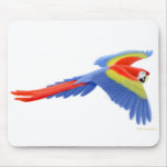 Scarlet Macaw Mousepad
