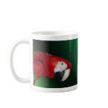 Scarlet Macaw mugs
