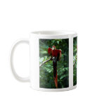 Scarlet macaw mugs