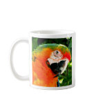 Scarlet Macaw Mug