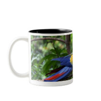 Scarlet macaw on tree limb mug