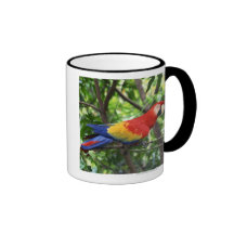 Scarlet macaw on tree limb mugs