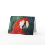 "Scarlet Macaw" Original Art Notecard