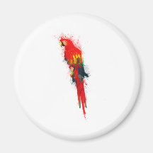 Scarlet Macaw Painted Magnets