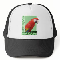 Scarlet Macaw Photo