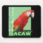 Scarlet Macaw Photo Mousepads