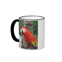 Scarlet Macaw Photography Mug
