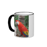 Scarlet Macaw Photography mugs
