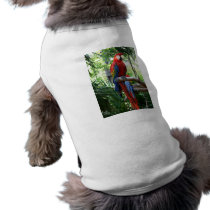 Scarlet macaw, red macaw photograp design dog tee shirt
