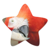 Scarlet Macaw Star Sticker