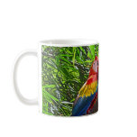 Scarlet Macaws on a Branch Painting mugs