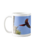 Scarlet Mackaw Flying mugs