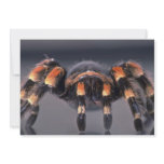 Scary Tarantula spider invitations