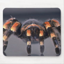Scary Tarantula spider Mousepads