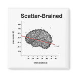 Scatter-Brained Magnet