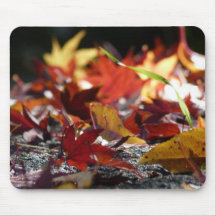 Scattered Fall Leaves Mousepad