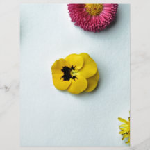 Scattered Flowers on white background Full Color Flyer