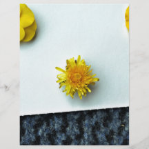 Scattered Yellow Flowers Personalized Flyer