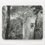 Scene in a Brazilian Forest engraved by Mouse Pads