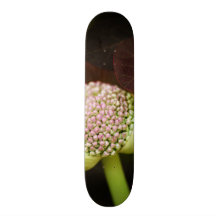 scene pristine skate deck