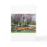 scenery,flowery springtime scenery cards