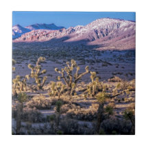Scenic Canyon Twilight Ceramic Tiles