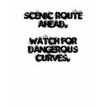 SCENIC ROUTE AHEAD. WATCH FOR DANGEROUS CURVES. t-shirts