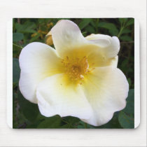 Scented Cream Rose Mousepad