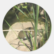 Schildkröte geht an Land Runder Sticker