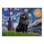 Schipperke 2 - Starry Night Cards