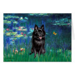 Schipperke 4 - Lilies 5 Greeting Cards