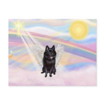 Schipperke Angel Postcard