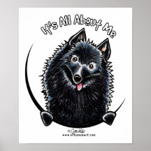 Schipperke IAAM Posters