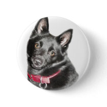 Schipperke Picture Pins
