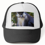 Schmidt's spot-nosed Monkey Trucker Hats